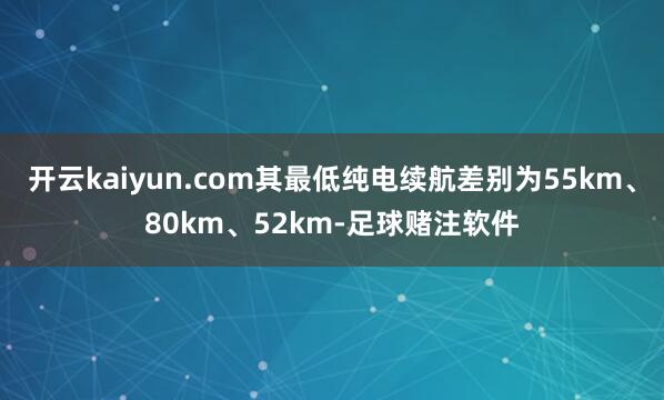 开云kaiyun.com其最低纯电续航差别为55km、80km、52km-足球赌注软件