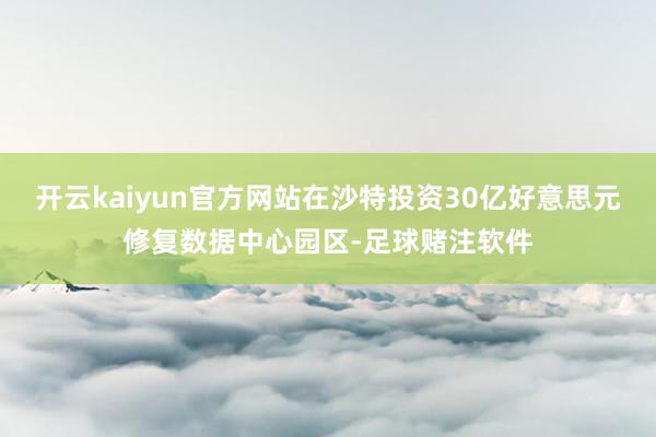 开云kaiyun官方网站在沙特投资30亿好意思元修复数据中心园区-足球赌注软件