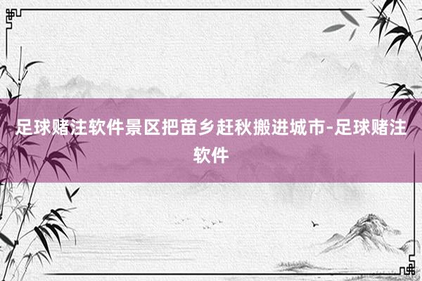 足球赌注软件景区把苗乡赶秋搬进城市-足球赌注软件