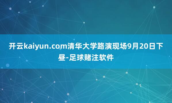 开云kaiyun.com清华大学路演现场9月20日下昼-足球赌注软件