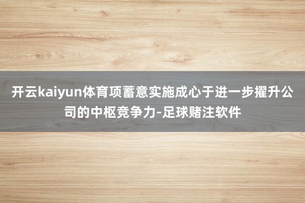 开云kaiyun体育项蓄意实施成心于进一步擢升公司的中枢竞争力-足球赌注软件