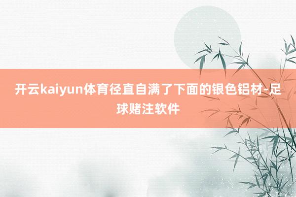 开云kaiyun体育径直自满了下面的银色铝材-足球赌注软件