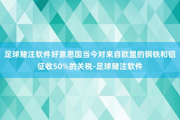 足球赌注软件好意思国当今对来自欧盟的钢铁和铝征收50%的关税-足球赌注软件