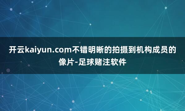 开云kaiyun.com不错明晰的拍摄到机构成员的像片-足球赌注软件