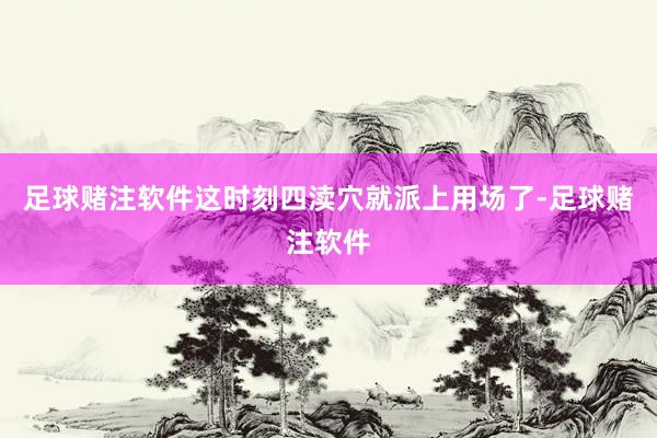 足球赌注软件这时刻四渎穴就派上用场了-足球赌注软件