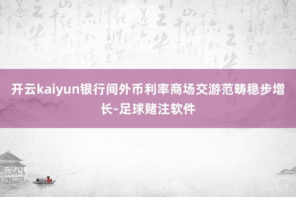 开云kaiyun银行间外币利率商场交游范畴稳步增长-足球赌注软件