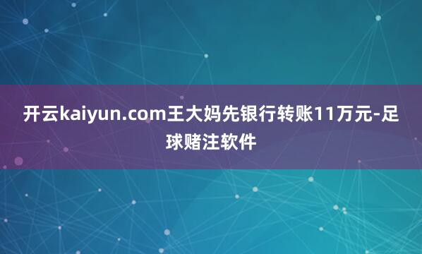 开云kaiyun.com王大妈先银行转账11万元-足球赌注软件