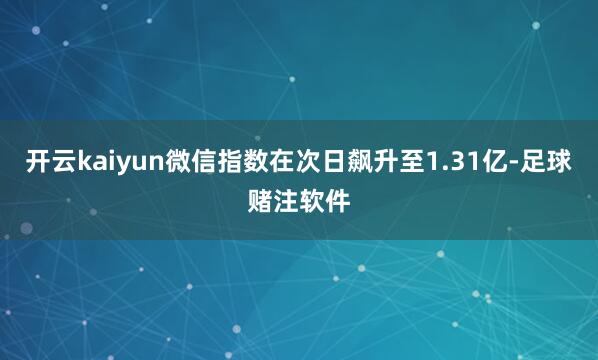 开云kaiyun微信指数在次日飙升至1.31亿-足球赌注软件